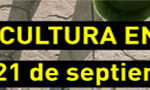 Ayto_CulturaCalle2019