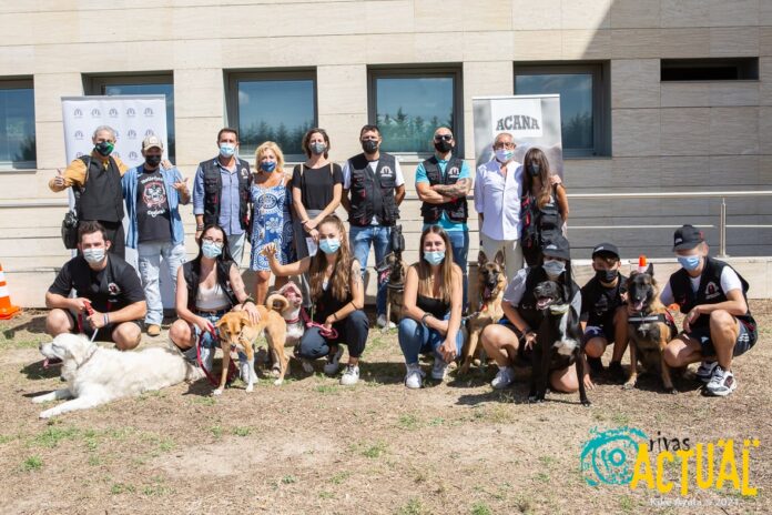 En la imagen, el grupo del proyecto de terapia asistida por animales ‘Perrutis Bro’, organizado por la Unidad de Agentes Tutores y premiado en los Galardones, en la entrega los diplomas de su primera edición. Foto: Kike Ayala (Rivas Actual).