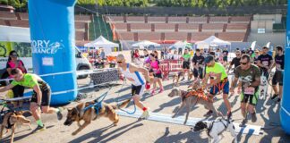 En la imagen, el momento de la salida de la carrera canina. Foto: Kike Ayala (Rivas Actual).